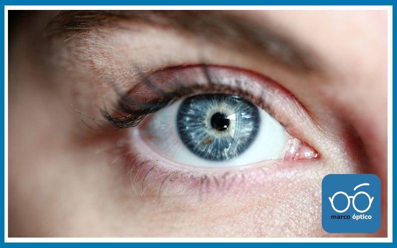 ¿Conoces la Baja Visión?